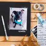 album-krouzkove-cerne-se-stuhou1