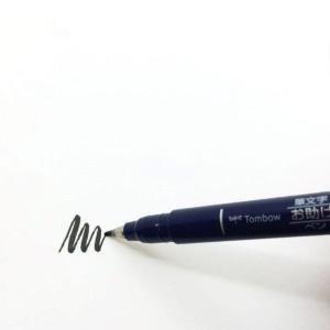 sada-stetcovych-fixu-fudenosuke