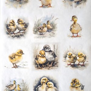 rýžové-papíry-kuřátka