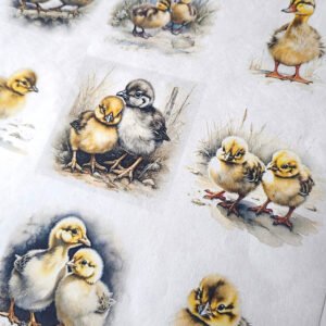 rýžové-papíry-jarní-mláďata