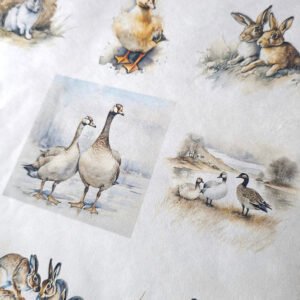 rýžové-papíry-domácí-zvířátka